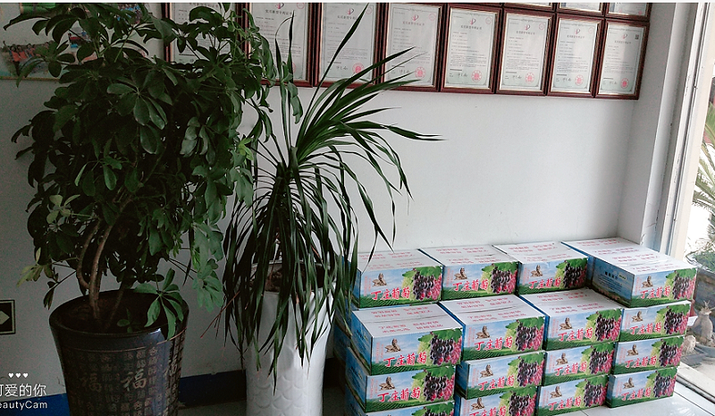 工具柜廠(chǎng)家天金岡精心為大家準(zhǔn)備禮物